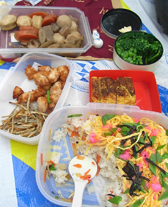 080330_hanami.jpg